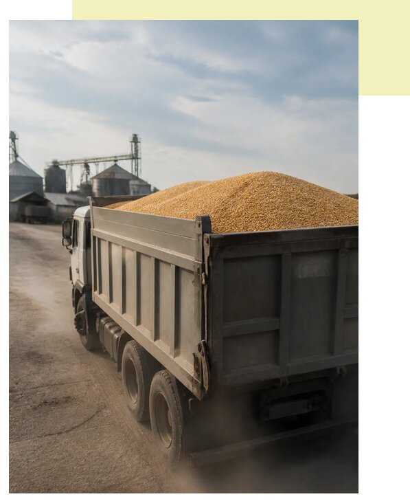 Перевозка сельхозпродукции навалом в Пензу по цене от 3080 р. | Агросервис-Пнз