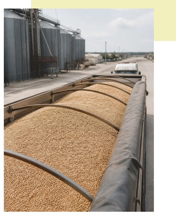 Доставка и перевозка сорго в Пензу по цене от 1540 р. | Агросервис-Пнз